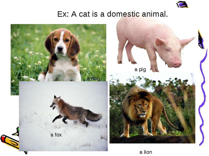 Ex: A cat is a domestic animal. a dog a pig a lion a fox