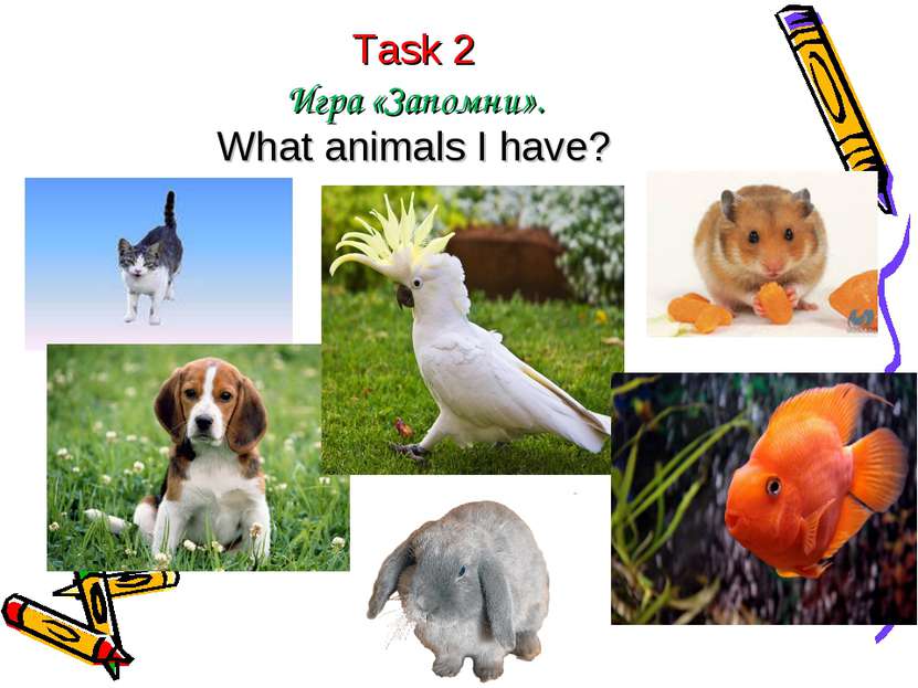 Task 2 Игра «Запомни». What animals I have?