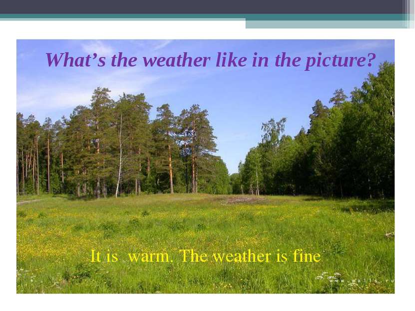 What’s the weather like in the picture? It is warm. The weather is fine .