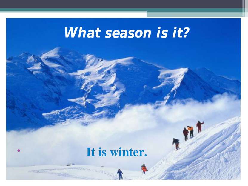 What season is it? It is winter.