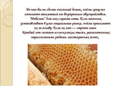 Из чего бы ни сделан пчелиный домик, пчёлы сразу же начинают заниматься его в...