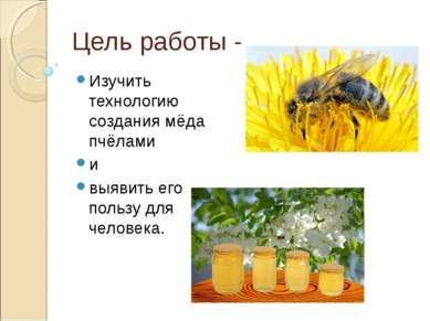 Цель работы - Изучить технологию создания мёда пчёлами и выявить его пользу д...