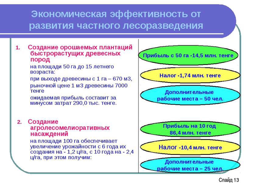 Налог -1,74 млн. тенге Прибыль с 50 га -14,5 млн. тенге Экономическая эффекти...