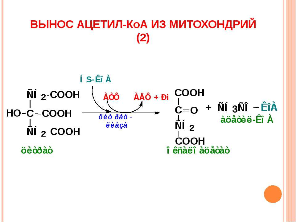 Ацетил коа в митохондриях. 2 Ацетил КОА. Образование ацетил КОА. Ацетилтко а. Ацетил-КОА это в биохимии.