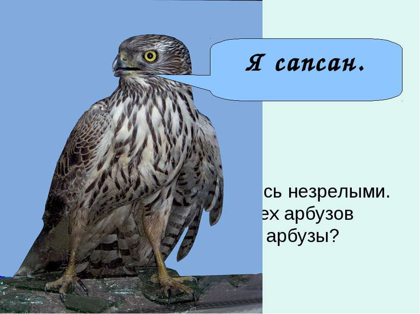 Самое острое зрение у сапсана. Он видит голубя на расстоянии … км. Из 200 арб...