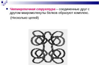 Четвертичная структура – соединенные друг с другом макромолекулы белков образ...