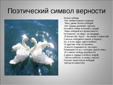 Поэтический символ верности Белые лебеди. Нет любви нежнее и вернее, Чем у ди...