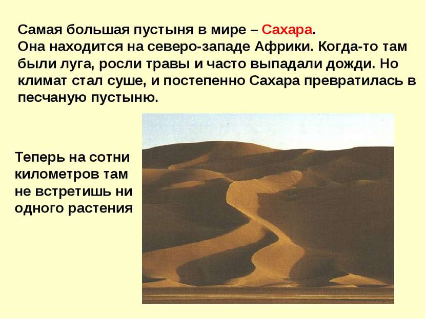 Самая большая пустыня в мире – Сахара. Она находится на северо-западе Африки....
