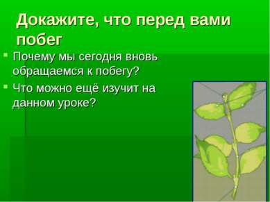 Докажите, что перед вами побег Почему мы сегодня вновь обращаемся к побегу? Ч...