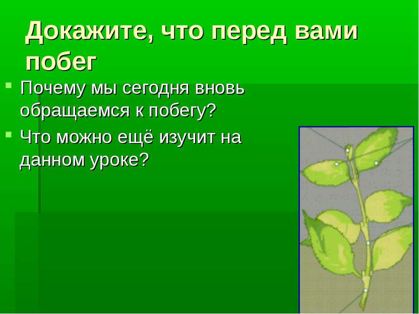 Докажите, что перед вами побег Почему мы сегодня вновь обращаемся к побегу? Ч...