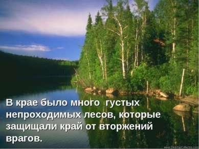 В крае было много густых непроходимых лесов, которые защищали край от вторжен...