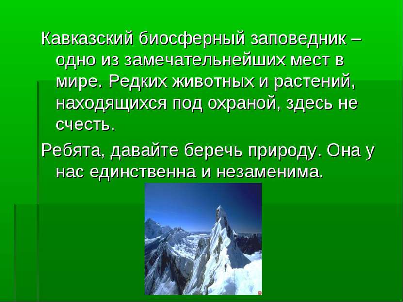 Кавказский биосферный заповедник – одно из замечательнейших мест в мире. Редк...