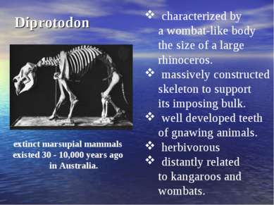 Diprotodon characterized by a wombat-like body the size of a large rhinoceros...