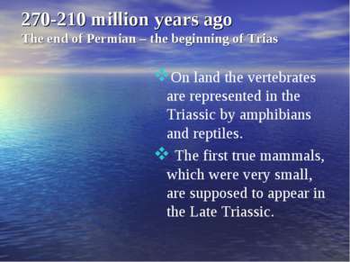 270-210 million years ago The end of Permian – the beginning of Trias On land...
