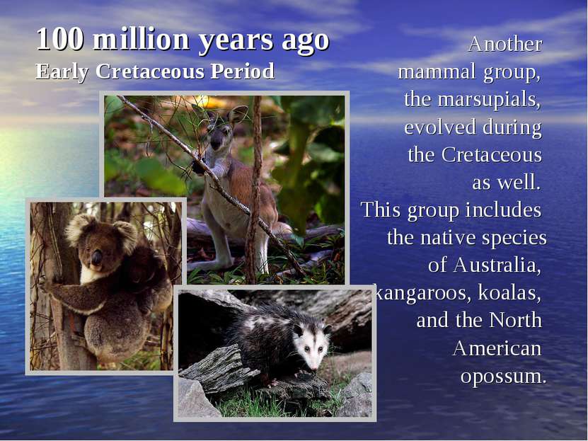 100 million years ago Early Cretaceous Period Another mammal group, the marsu...