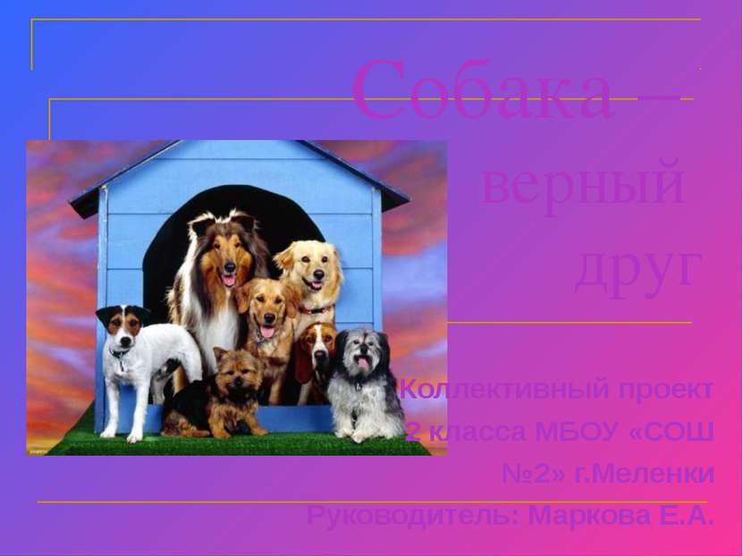 Собака – верный друг Коллективный проект 2 класса МБОУ «СОШ №2» г.Меленки Рук...
