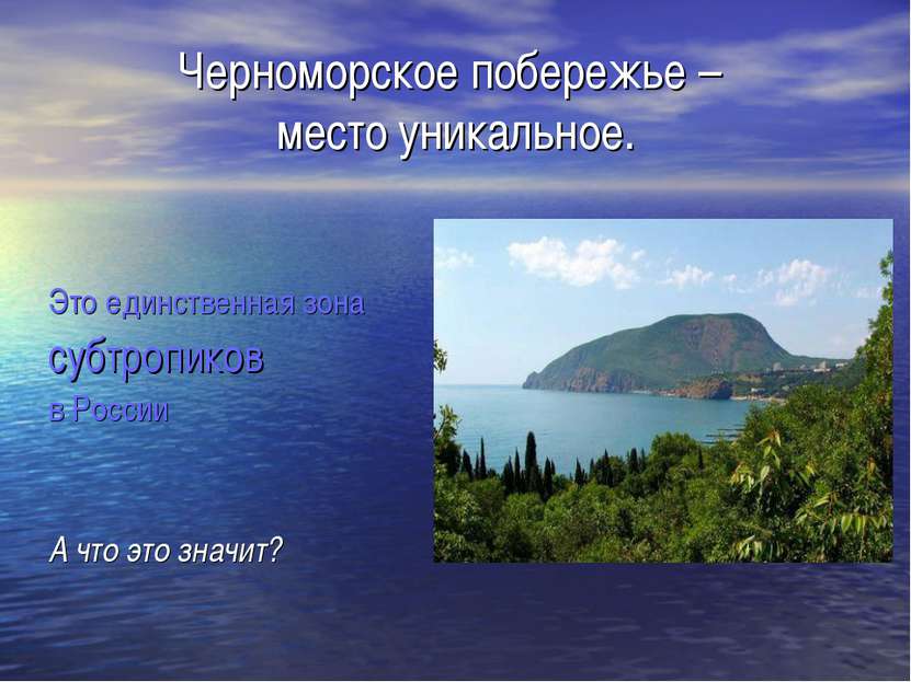 Черноморское побережье – место уникальное. Это единственная зона субтропиков ...
