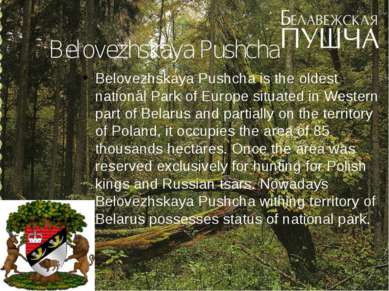 Belovezhskaya Pushcha Belovezhskaya Pushcha is the oldest national Park of Eu...