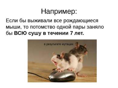 Например: Если бы выживали все рождающиеся мыши, то потомство одной пары заня...