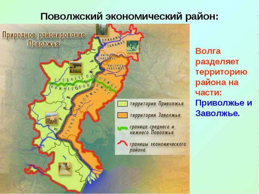 Поволжский экономический район: Волга разделяет территорию района на части: П...