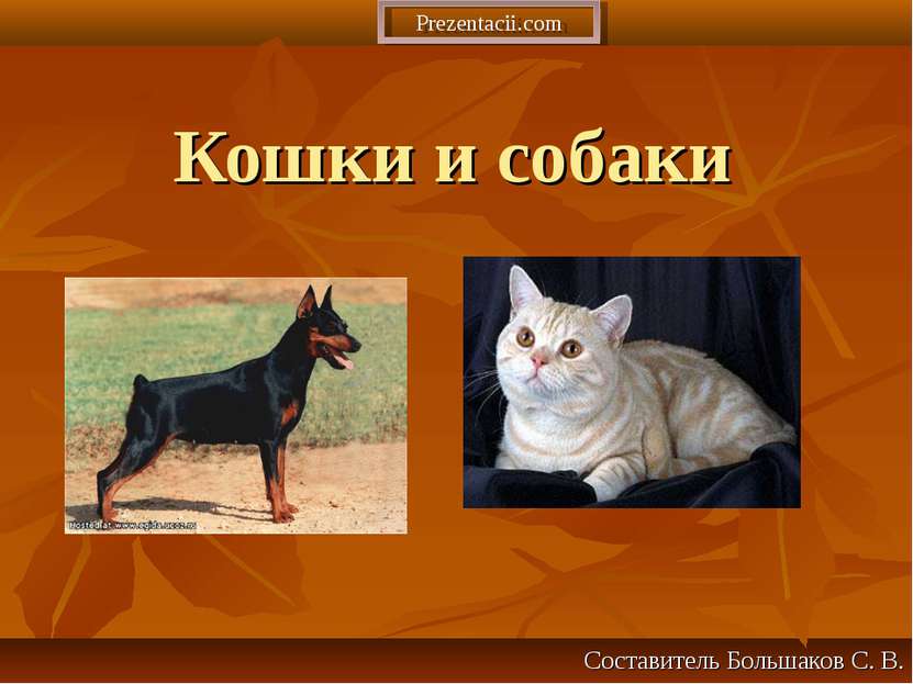 Кошки и собаки Составитель Большаков С. В. Prezentacii.com