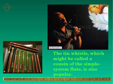 The tin whistle, which might be called a cousin of the simple-system flute, i...