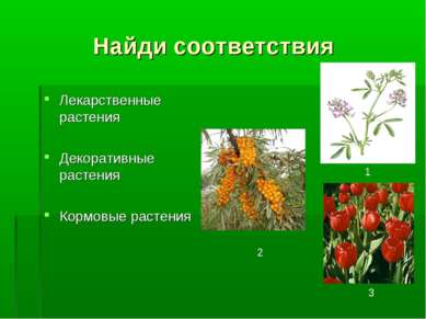 Найди соответствия Лекарственные растения Декоративные растения Кормовые раст...