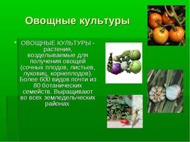 Овощные культуры ОВОЩНЫЕ КУЛЬТУРЫ - растения, возделываемые для получения ово...