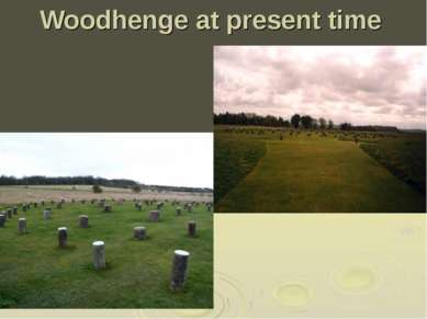 Woodhenge at present time