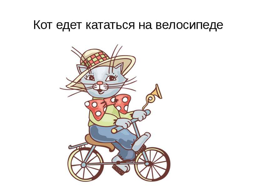 Кот едет кататься на велосипеде