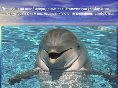 Дельфины по своей природе имеют анатомическую улыбку и все детки, которые к н...