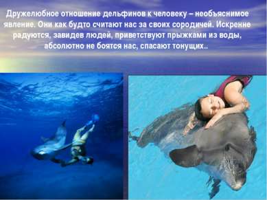 Дружелюбное отношение дельфинов к человеку – необъяснимое явление. Они как бу...