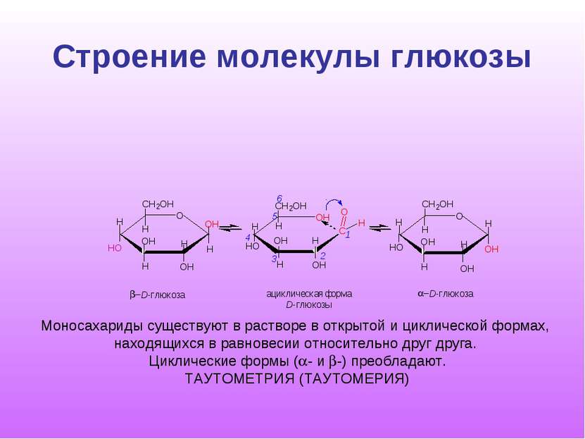 Строение молекулы глюкозы O H C O H H O O H O H H H H H 2 1 3 4 6 5 C H 2 O H...