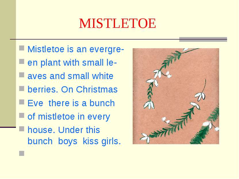 MISTLETOE Mistletoe is an evergre- en plant with small le- aves and small whi...