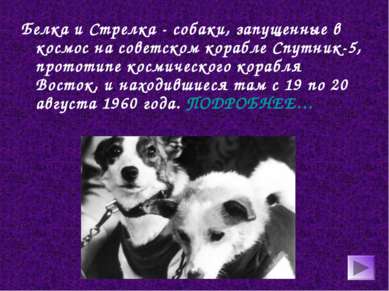Белка и Стрелка - собаки, запущенные в космос на советском корабле Спутник-5,...