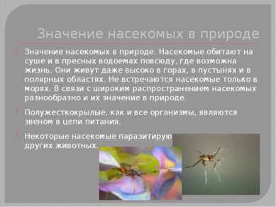 Значение насекомых в природе Значение насекомых в природе. Насекомые обитают ...