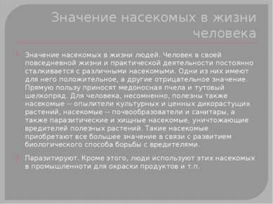 Значение насекомых в жизни человека Значение насекомых в жизни людей. Человек...