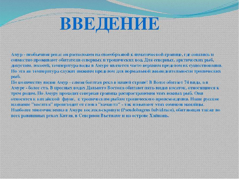 Амур - необычная река: он расположен на своеобразной климатической границе, г...