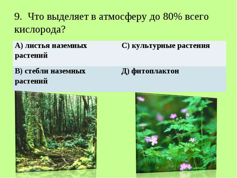   9. Что выделяет в атмосферу до 80% всего кислорода? А) листья наземных раст...