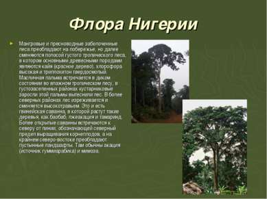 Флора Нигерии Мангровые и пресноводные заболоченные леса преобладают на побер...