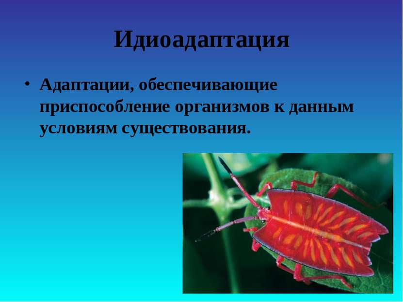 Идиоадаптация Адаптации, обеспечивающие приспособление организмов к данным ус...