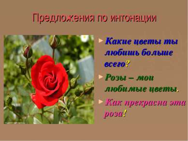 Предложения по интонации Какие цветы ты любишь больше всего? Розы – мои любим...