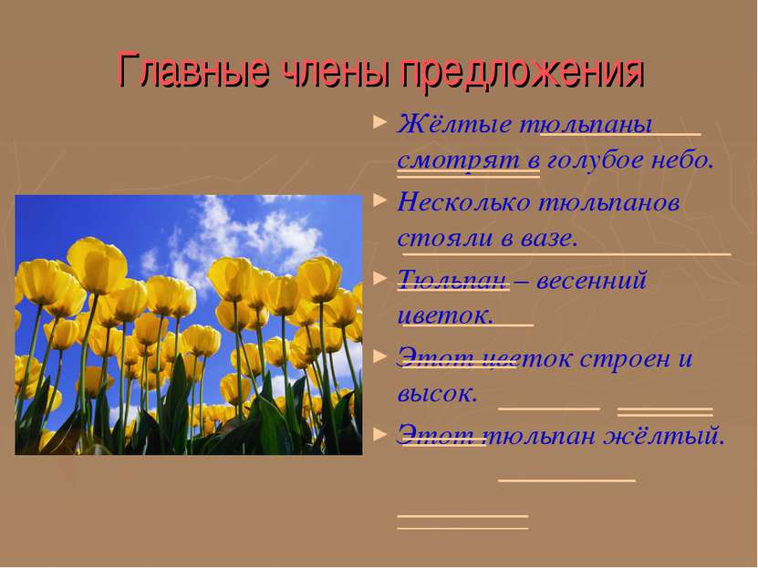 Главные члены предложения Жёлтые тюльпаны смотрят в голубое небо. Несколько т...