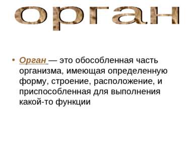 Орган — это обособленная часть организма, имеющая определенную форму, строени...