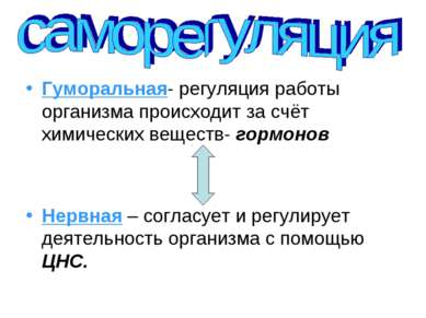 Гуморальная- регуляция работы организма происходит за счёт химических веществ...