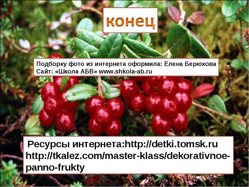 Ресурсы интернета:http://detki.tomsk.ru http://tkalez.com/master-klass/dekora...