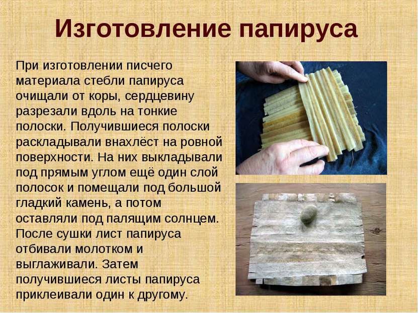 Изготовление папируса При изготовлении писчего материала стебли папируса очищ...