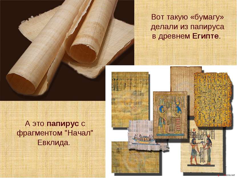 Вот такую «бумагу» делали из папируса в древнем Египте. А это папирус с фрагм...