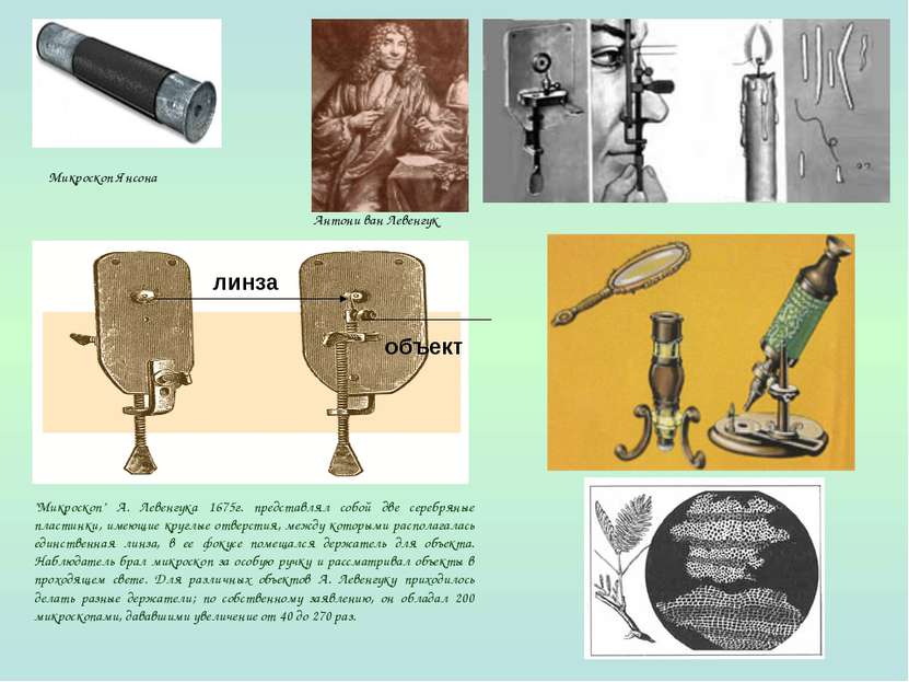"Микроскоп" А. Левенгука 1675г. представлял собой две серебряные пластинки, и...
