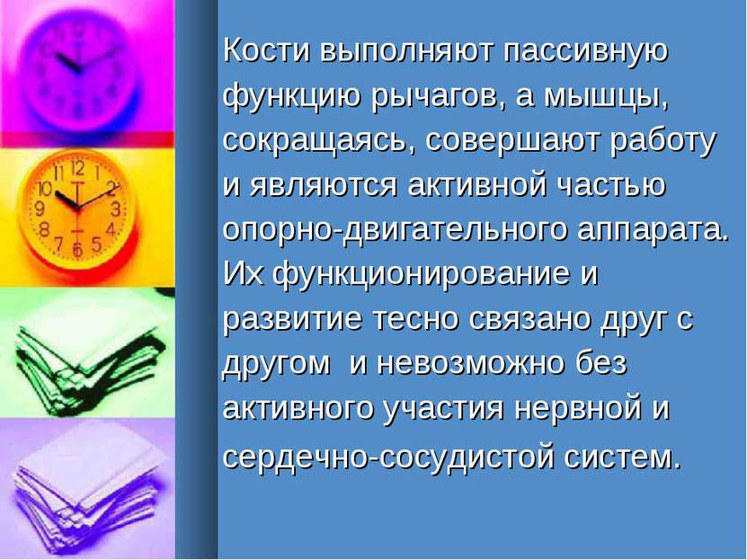 Кости выполняют пассивную функцию рычагов, а мышцы, сокращаясь, совершают раб...